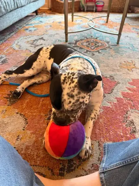 Lola photo 2
