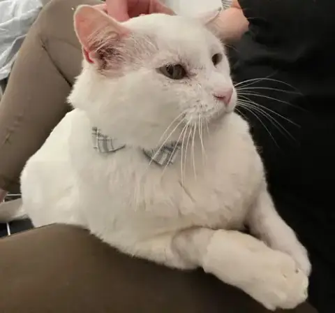 Theodore photo 2