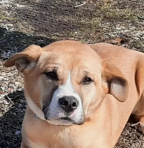 Zeke