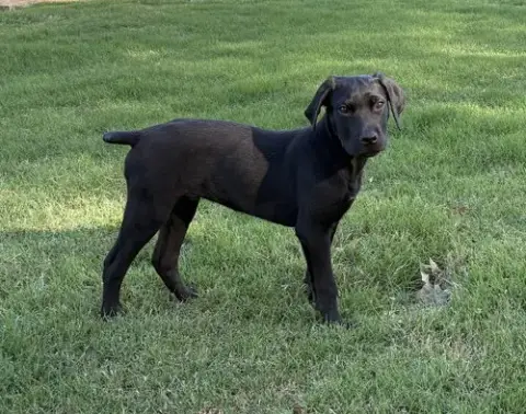 Tucker Man photo 3
