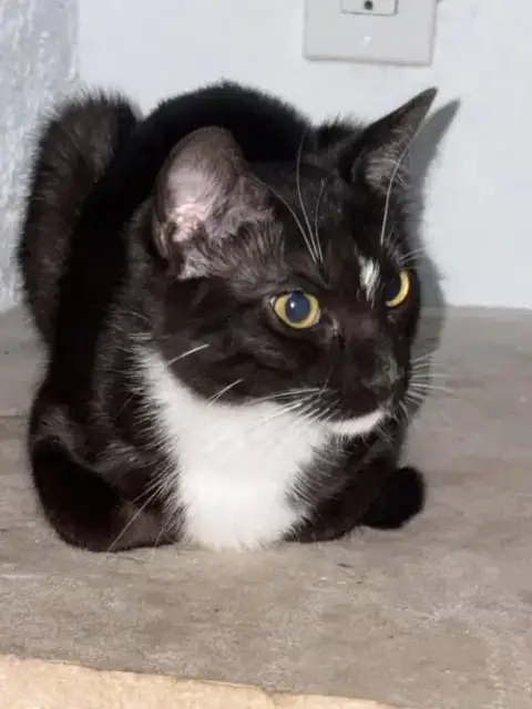Buttercup Powerpuff