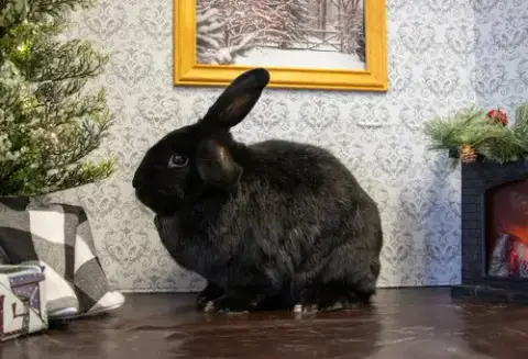Lilah "Lil" photo 5