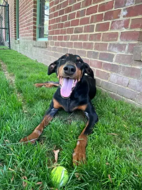 Penny *Crosspost*