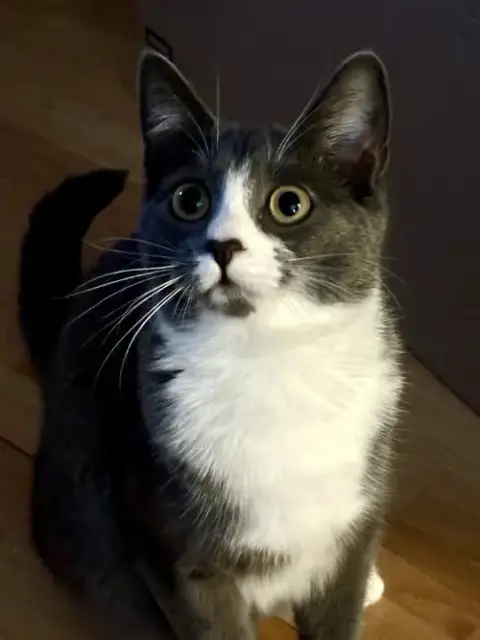 Lucy photo 3