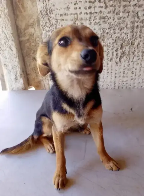 Winnie