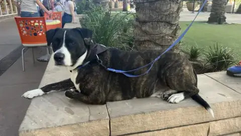 Zeus
