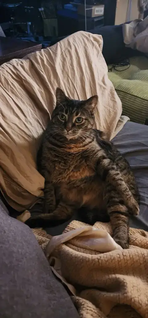 Delilah photo 5