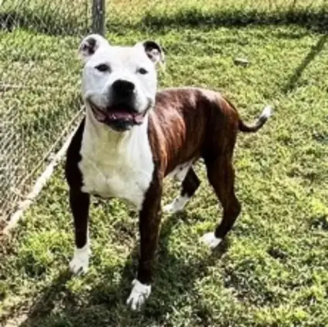 Benny*Crosspost* photo 2