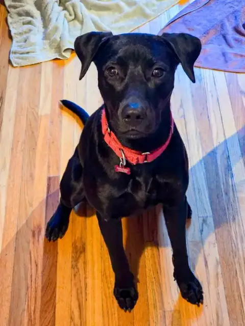 Maggie photo 4