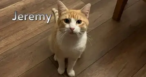 Jeremy
