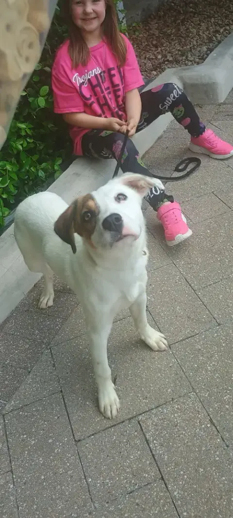 Patches photo 3