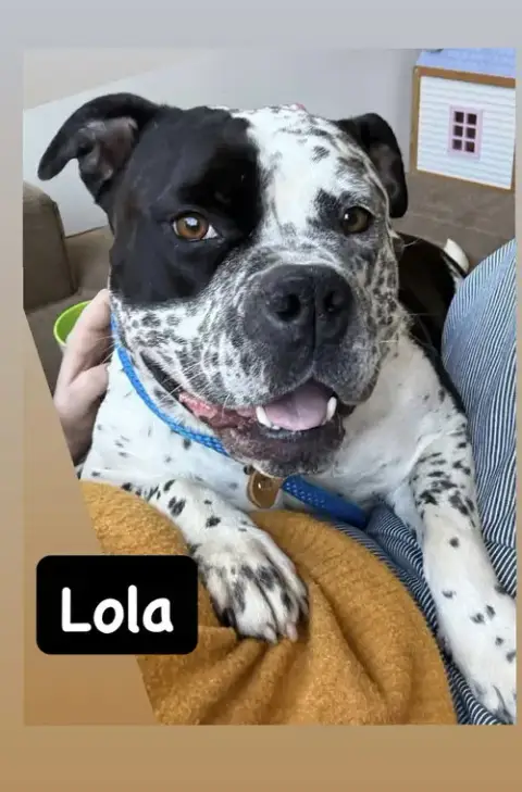 Lola