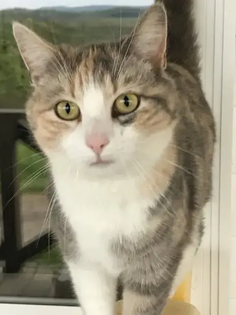Lydia
