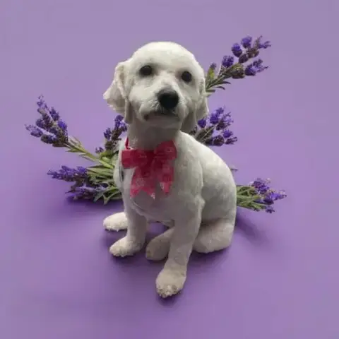 Glinda