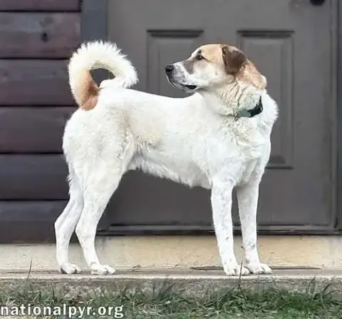 Buster In Va photo 3