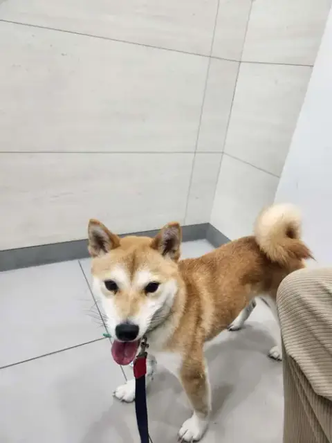 Luna photo 3