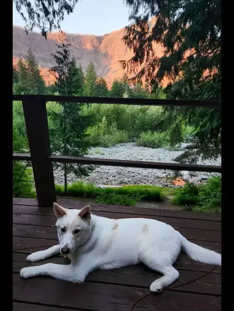 Wiley photo 2