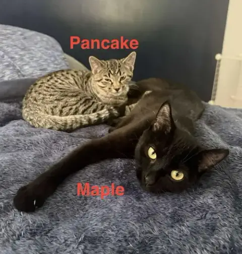 Pancake photo 4