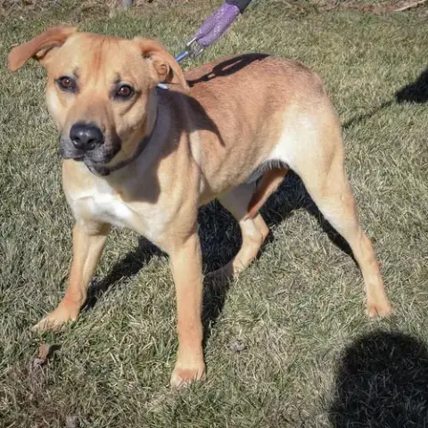 Zoomie photo 4