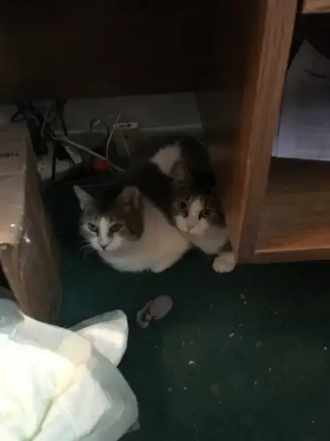 Pearl Bonded W/Katie photo 4