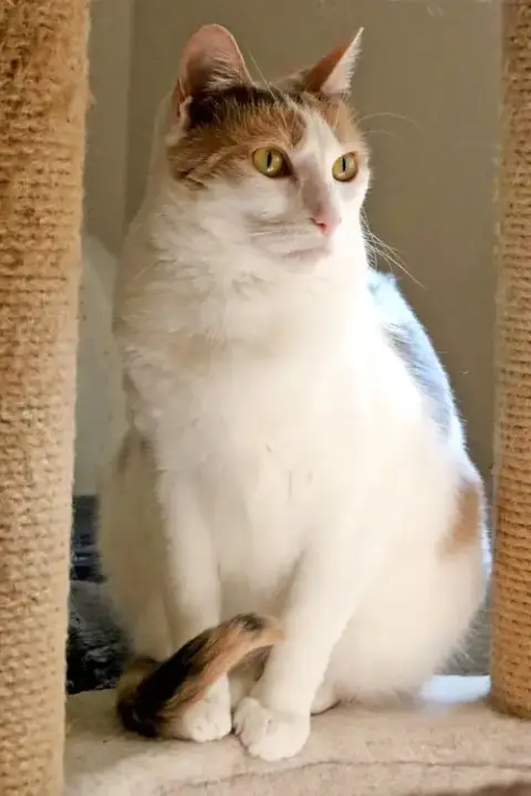 Mimi photo 5
