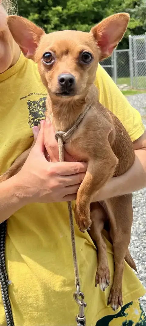 Zoey