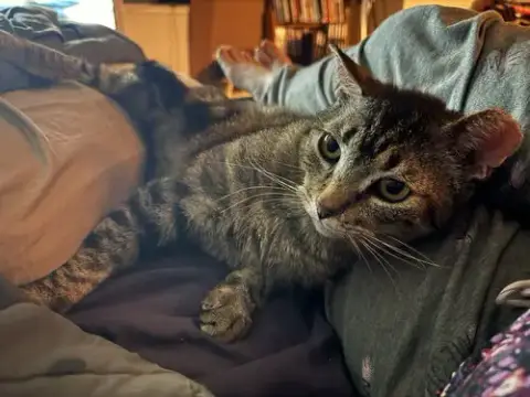 Bubba photo 3