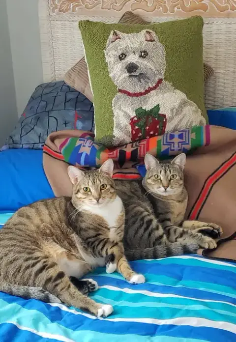 Bonded Pair: Bella & Lola