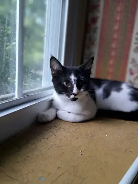 Duncan photo 2