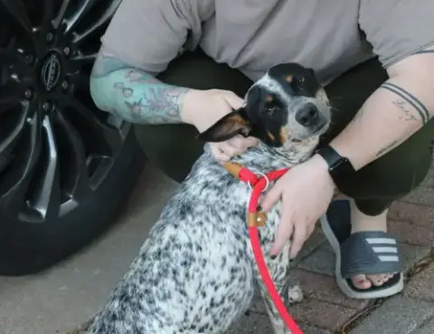 Sasha Heeler photo 2