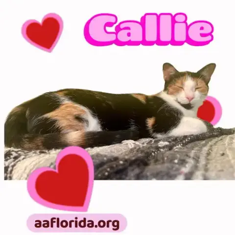 Callie & Grayson photo 3