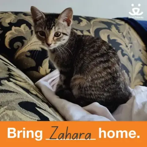 Zahara photo 4