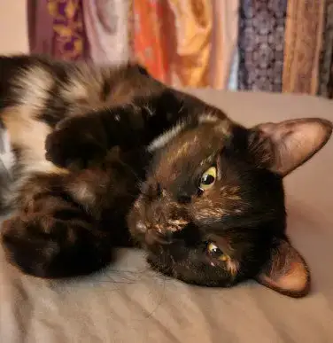 Mila