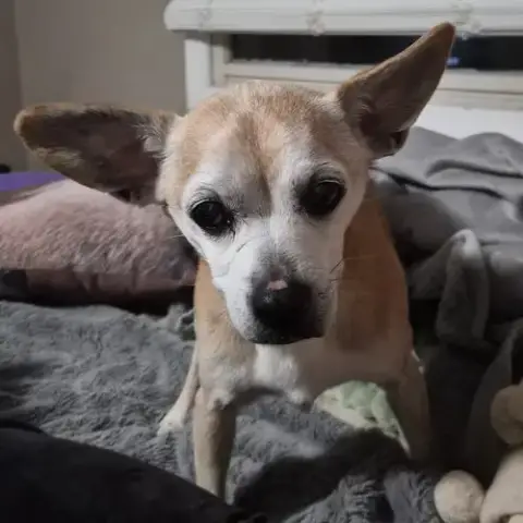 Charlie photo 4
