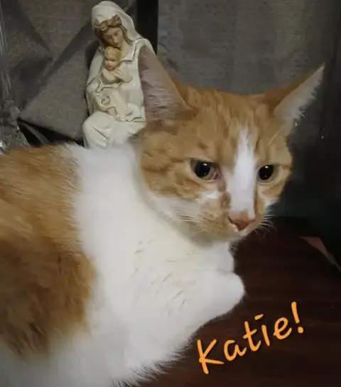 Katie