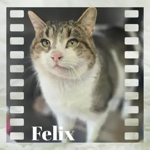 Felix