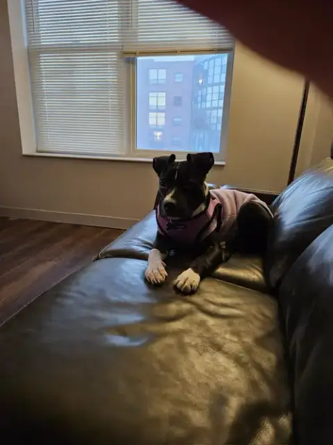 Hope photo 3