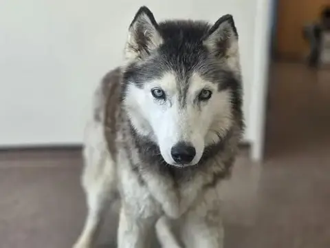 Lucy