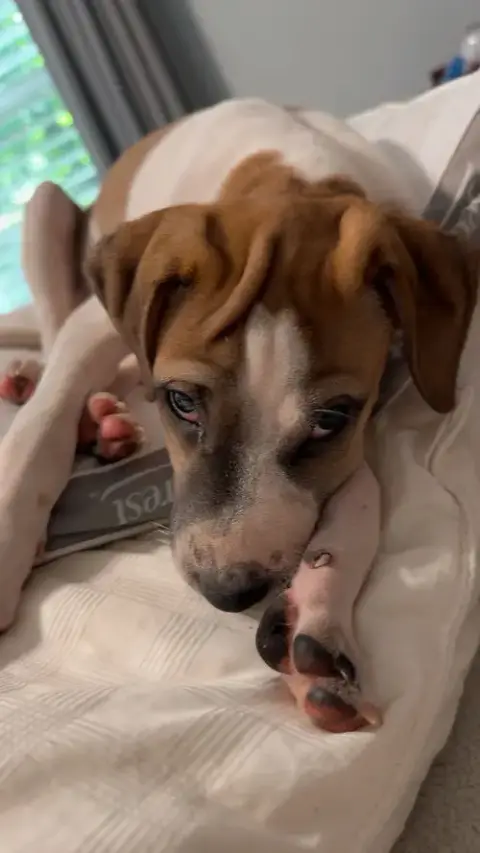 Lucas photo 3