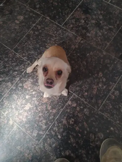 Coco photo 3