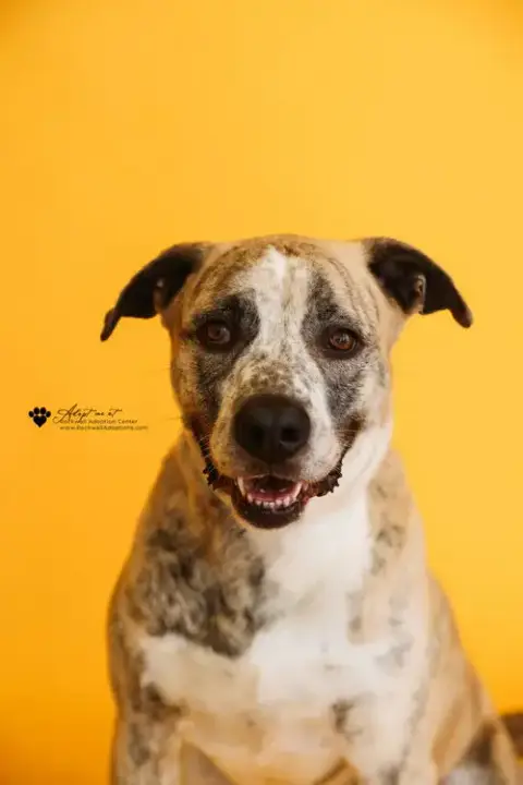 Molly