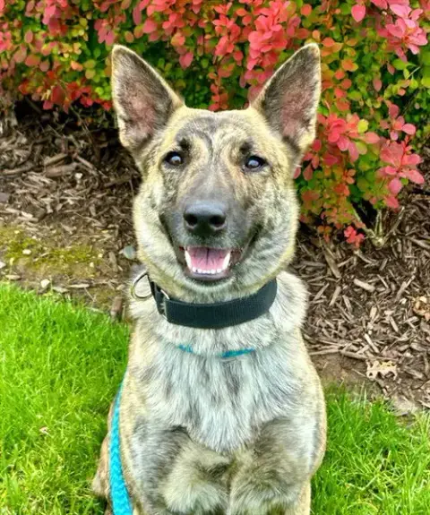 Mia