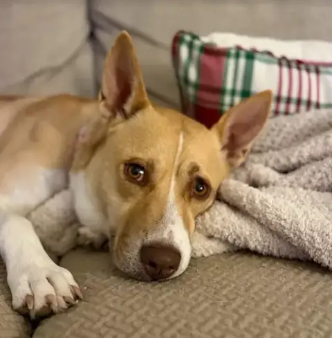 Bonnie