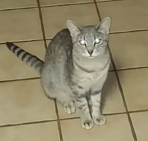 Marti