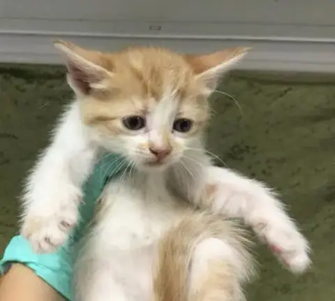 Juanita