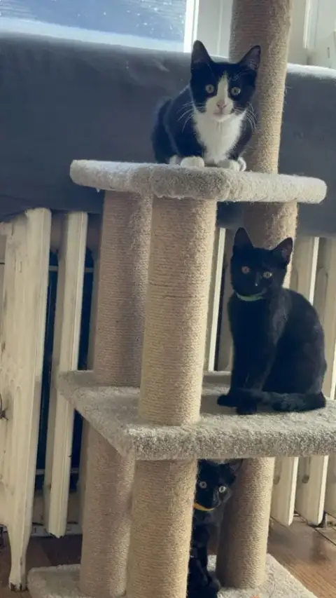Mocha And Latte photo 2