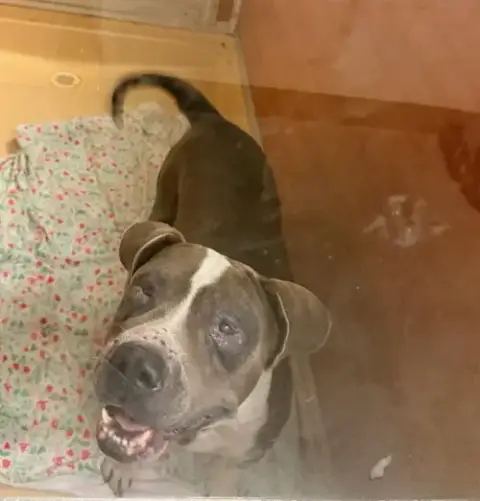 Luna