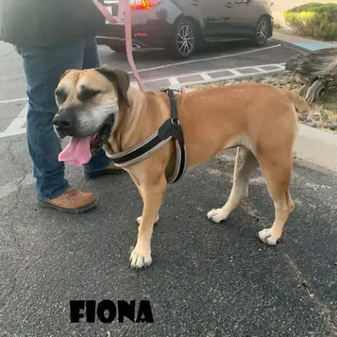 Fiona photo 2
