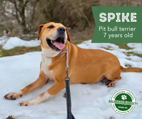 Spike