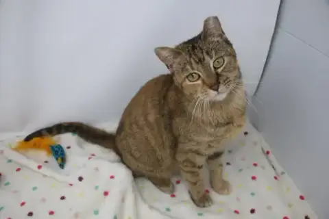 Lauralei photo 5